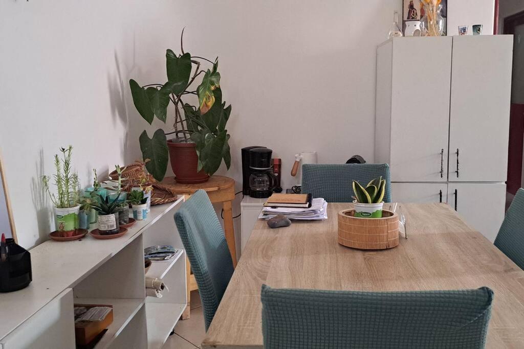 Mendes Family Homestay - B&B In The Heart Of Praia Exteriér fotografie