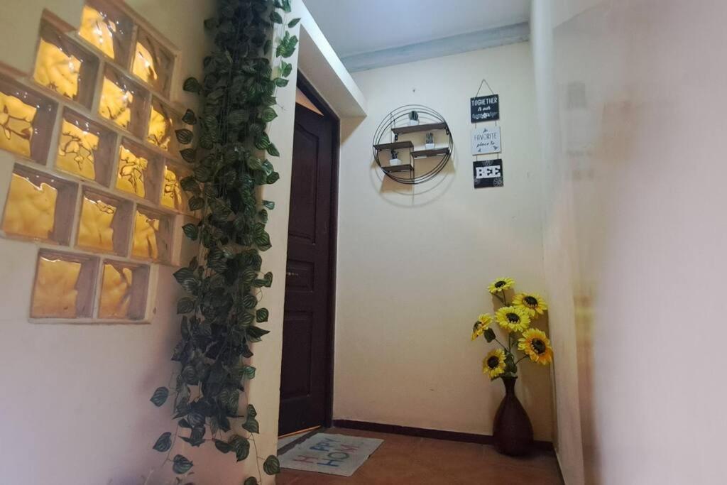 Mendes Family Homestay - B&B In The Heart Of Praia Exteriér fotografie
