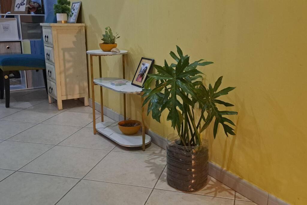 Mendes Family Homestay - B&B In The Heart Of Praia Exteriér fotografie